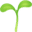 🌱